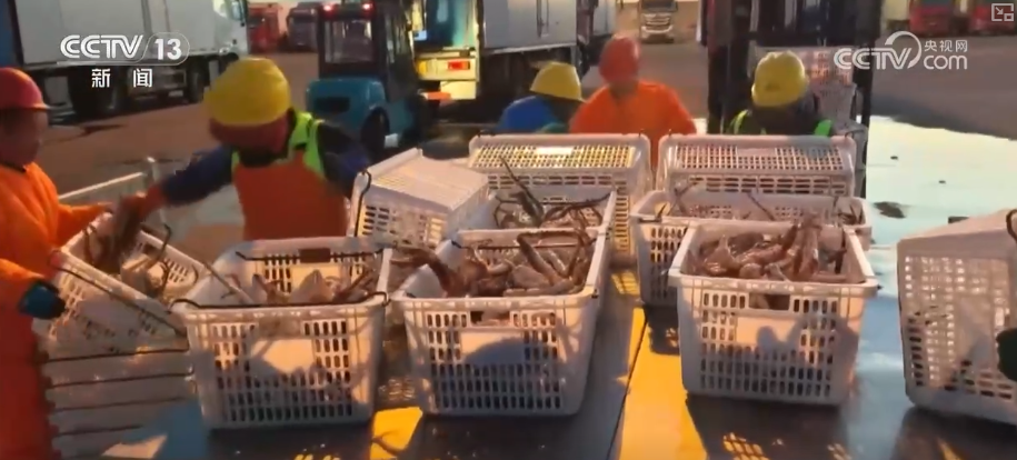 从“秒筛”到“监护”航空物流装上智慧“加速器”麻将胡了2试玩网站航空货运有“量”有“质”又智”(图1) 从“秒筛”到“监护”航空物流装上智慧“加速器”麻将胡了2试玩网站航空货运有“量”有“质”又智”(图1)