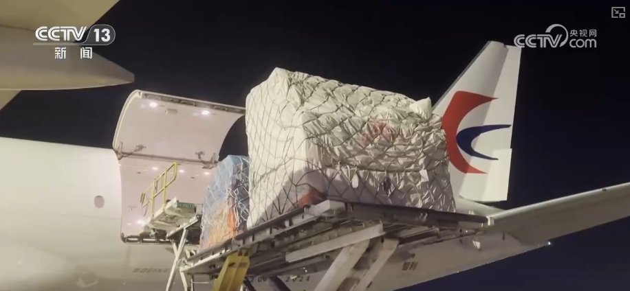 从“秒筛”到“监护”航空物流装上智慧“加速器”麻将胡了2试玩网站航空货运有“量”有“质”又智”(图3) 从“秒筛”到“监护”航空物流装上智慧“加速器”麻将胡了2试玩网站航空货运有“量”有“质”又智”(图3)