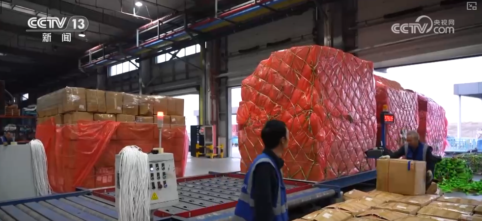 从“秒筛”到“监护”航空物流装上智慧“加速器”麻将胡了2试玩网站航空货运有“量”有“质”又智”(图13) 从“秒筛”到“监护”航空物流装上智慧“加速器”麻将胡了2试玩网站航空货运有“量”有“质”又智”(图13)