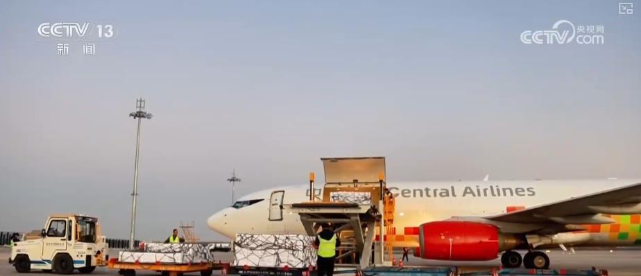 从“秒筛”到“监护”航空物流装上智慧“加速器”麻将胡了2试玩网站航空货运有“量”有“质”又智”(图15) 从“秒筛”到“监护”航空物流装上智慧“加速器”麻将胡了2试玩网站航空货运有“量”有“质”又智”(图15)