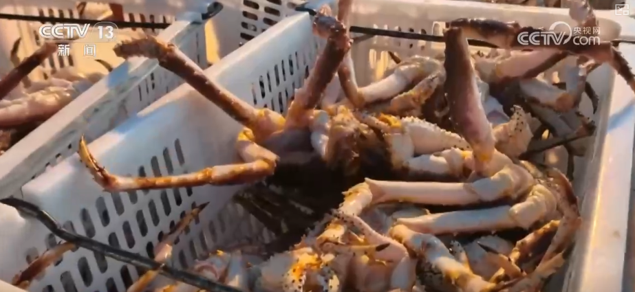 从“秒筛”到“监护”航空物流装上智慧“加速器”麻将胡了2试玩网站航空货运有“量”有“质”又智”(图21) 从“秒筛”到“监护”航空物流装上智慧“加速器”麻将胡了2试玩网站航空货运有“量”有“质”又智”(图21)