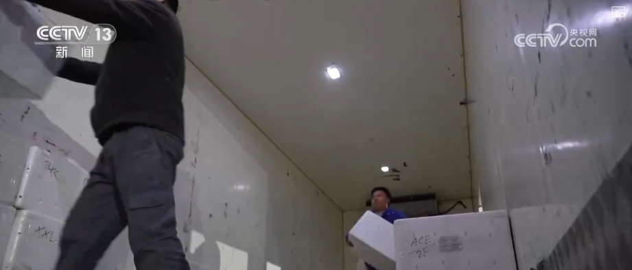 从“秒筛”到“监护”航空物流装上智慧“加速器”麻将胡了2试玩网站航空货运有“量”有“质”又智”(图26) 从“秒筛”到“监护”航空物流装上智慧“加速器”麻将胡了2试玩网站航空货运有“量”有“质”又智”(图26)